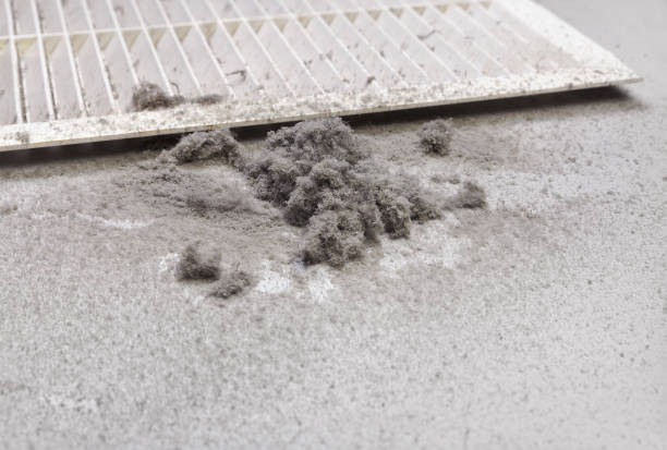 Best Professional Duct Cleaning Services  in Mansfield, OH
